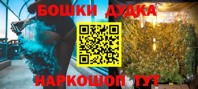 крисы Дубна