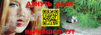 крисы Дубна