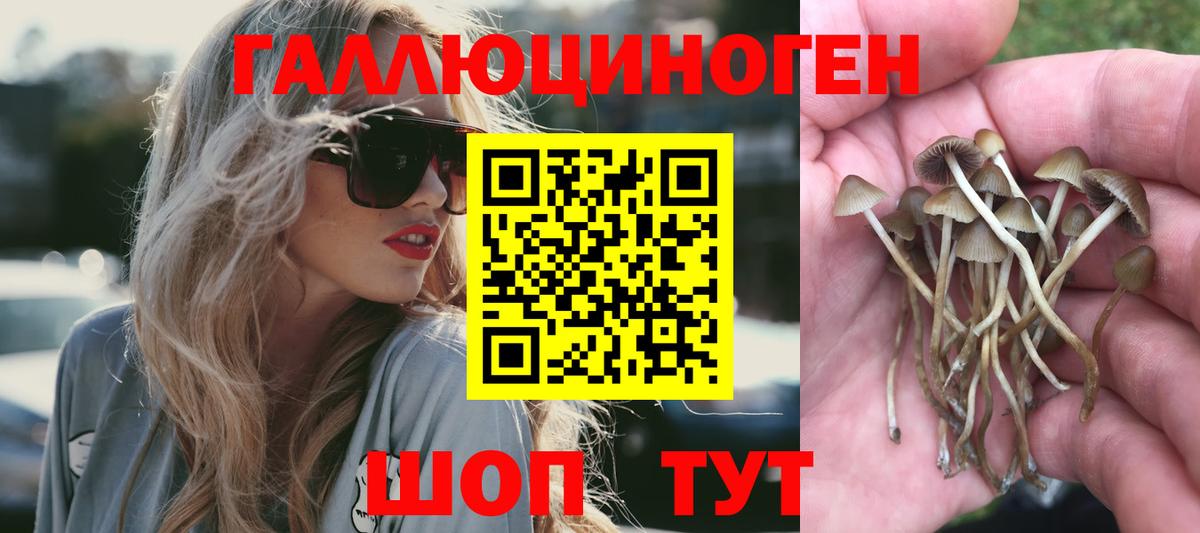Менделеевск  Галлюциногенные грибы Magic Shrooms  Вход с VPN 